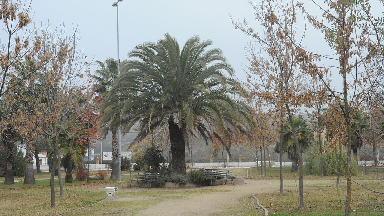 Jardín_Botánico_de_Riolobos